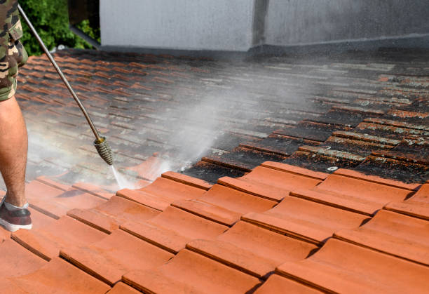 Best Roof Pressure Washing  in Pleasant Hill, MO